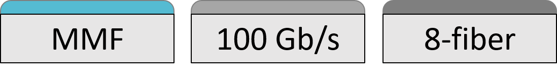 MMF_100_8 100GBASE-SR4