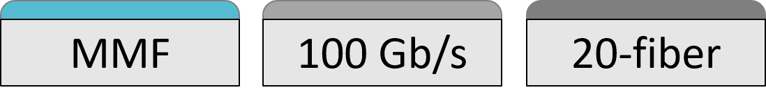 100GBASE-SR10