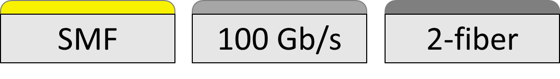 100GBASE-DR, 100GBASE-FR1, 100GBASE-LR1, 100BASE-LR4, 100BASE-ZR, and 100BASE-ER4
